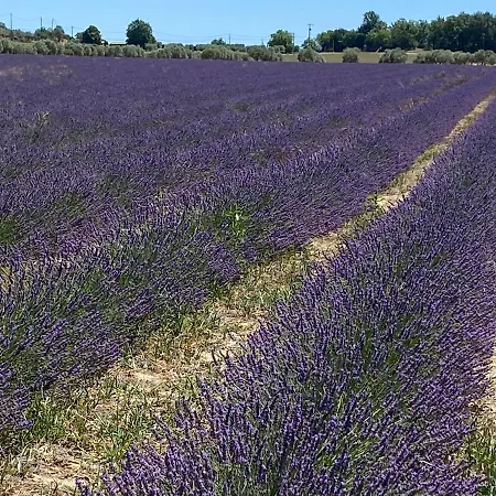 Cocotte Vakantiehuis Pierrerue (Alpes-de-Haute-Provence)