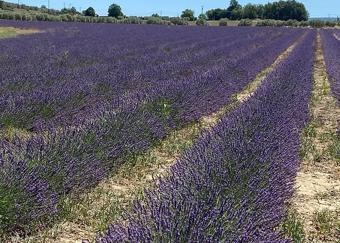 Cocotte Vakantiehuis Pierrerue (Alpes-de-Haute-Provence)
