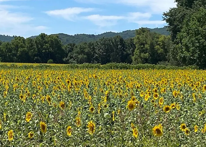 Cocotte Vakantiehuis Pierrerue (Alpes-de-Haute-Provence)