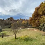 Cocotte Holiday home Pierrerue (Alpes-de-Haute-Provence)