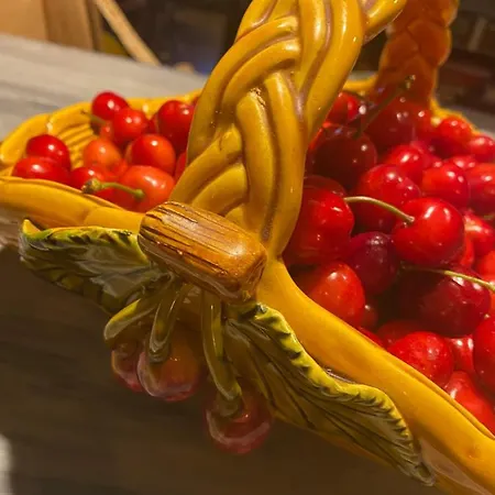 Дом отдыха Cocotte Pierrerue (Alpes-de-Haute-Provence)