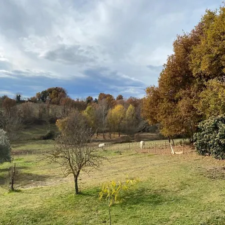 Cocotte 度假居 Pierrerue (Alpes-de-Haute-Provence)