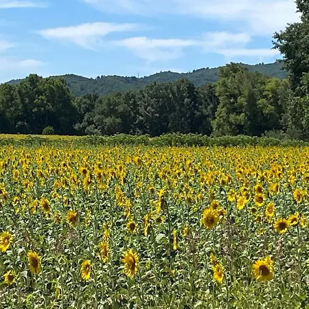 Cocotte Holiday home Pierrerue (Alpes-de-Haute-Provence)