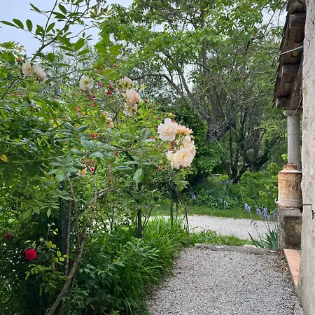 Cocotte 度假居 Pierrerue (Alpes-de-Haute-Provence)