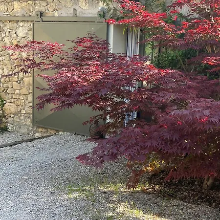 Cocotte Pierrerue (Alpes-de-Haute-Provence)