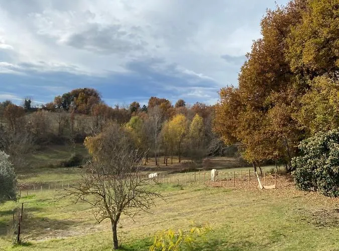 Cocotte Holiday home Pierrerue (Alpes-de-Haute-Provence)